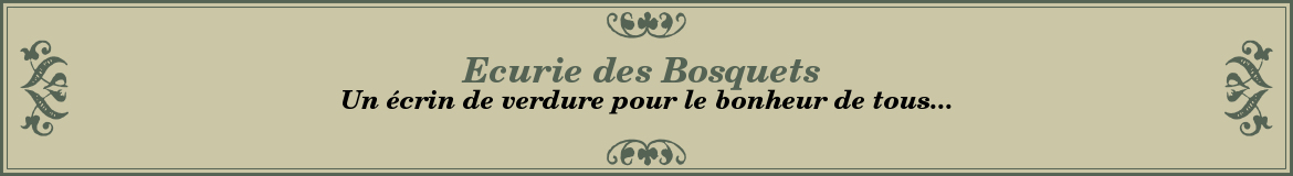 Ecurie des Bosquets
